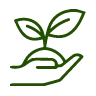 Trees Planted