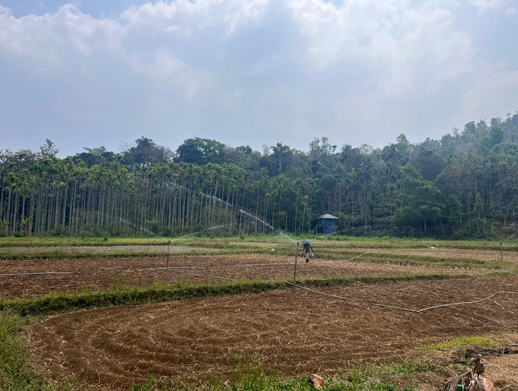 Agro Ecology Centre (TAEC), Panavally