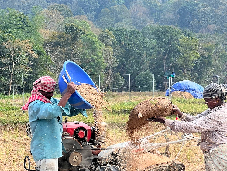 Agro Ecology Centre (TAEC), Panavally Thanal