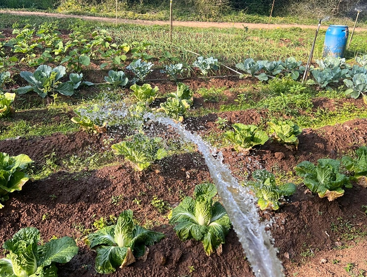 AgroEcology Center Panavally