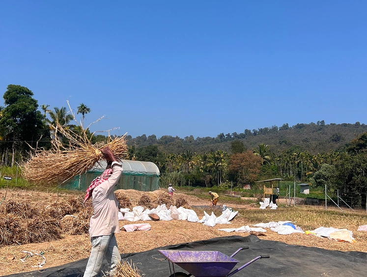 Agro Ecology Centre (TAEC)
