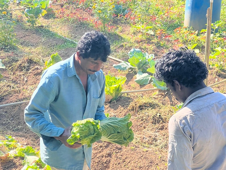 Agroecology Center