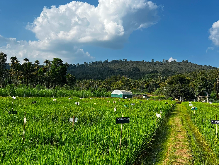 Agro Ecology Centre (TAEC) Kerala