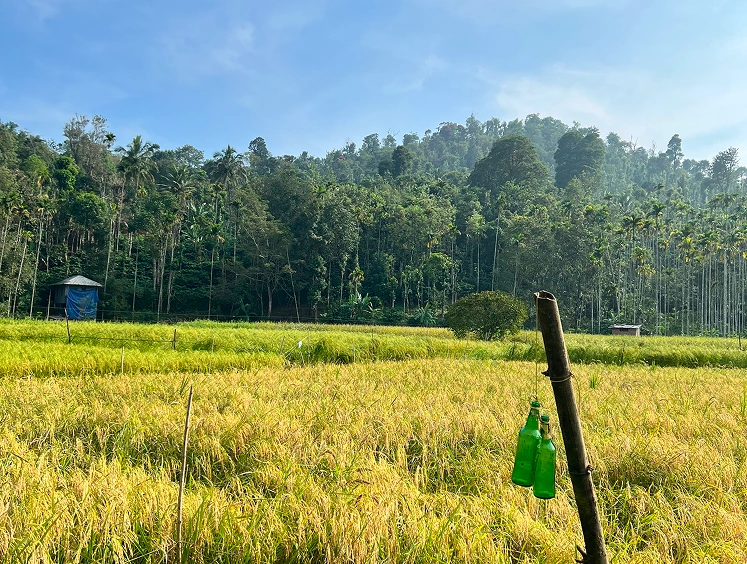 Agroecology Center