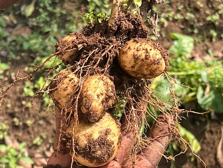 Agroecology Center Panavally Kerala