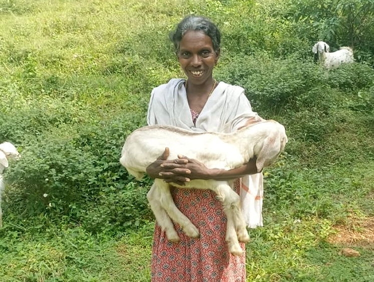 ITDP Kulathupuzha Kerala