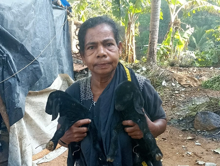 ITDP Kulathupuzha 1