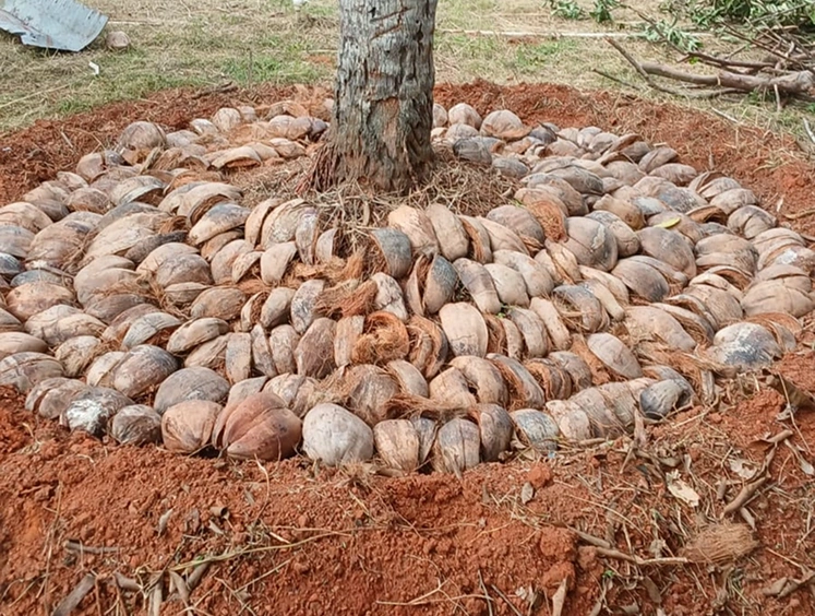 Kovalam Demo Farm1