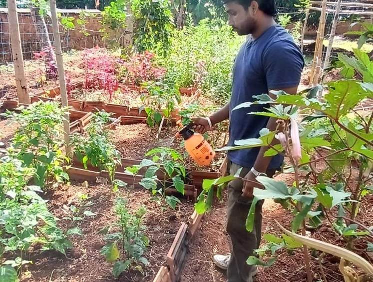 Kovalam Demo Farm2