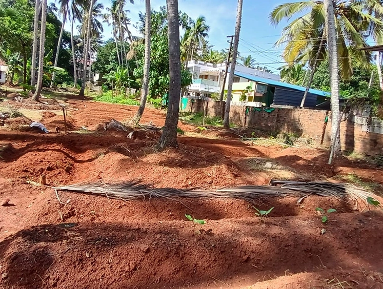 Kovalam Demo Farm2