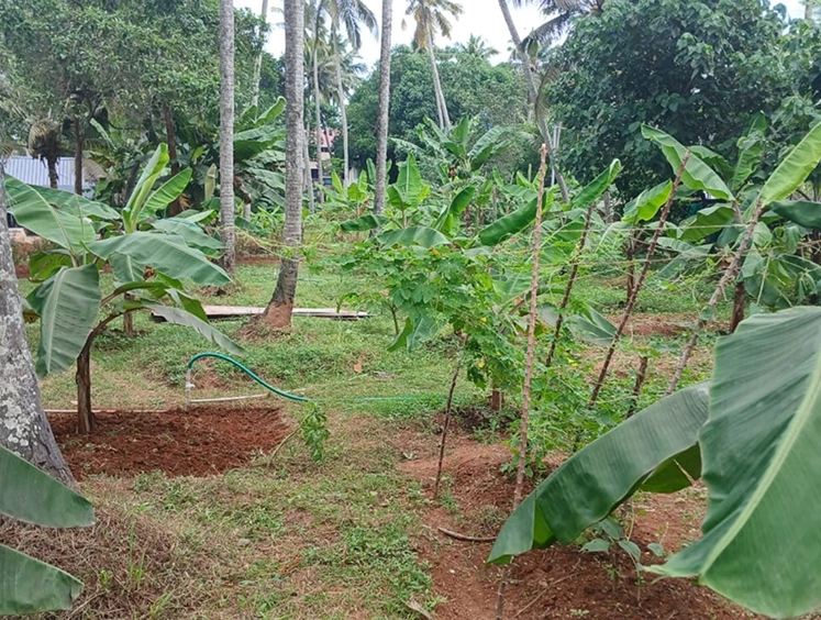 Kovalam Demo Farm2