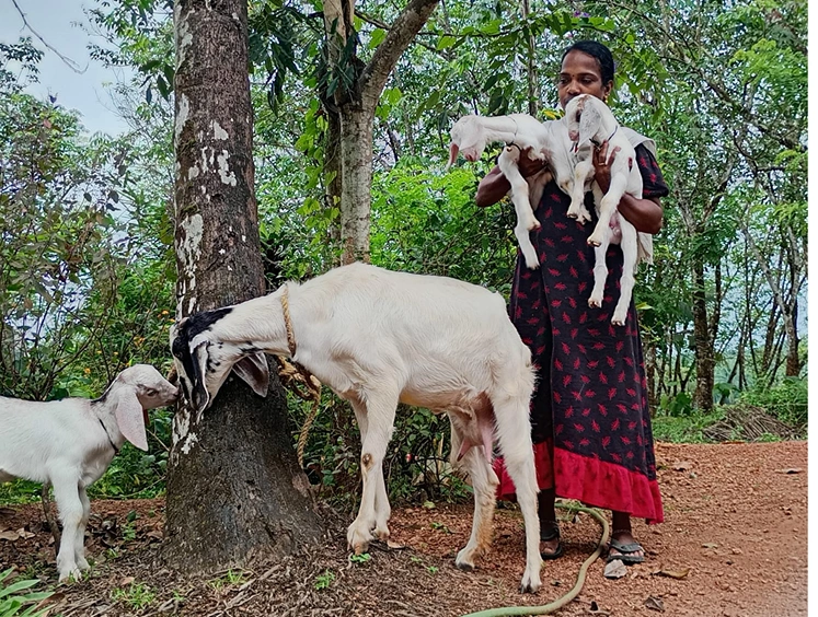 Sustainable Livelihood - Kulathupuzha